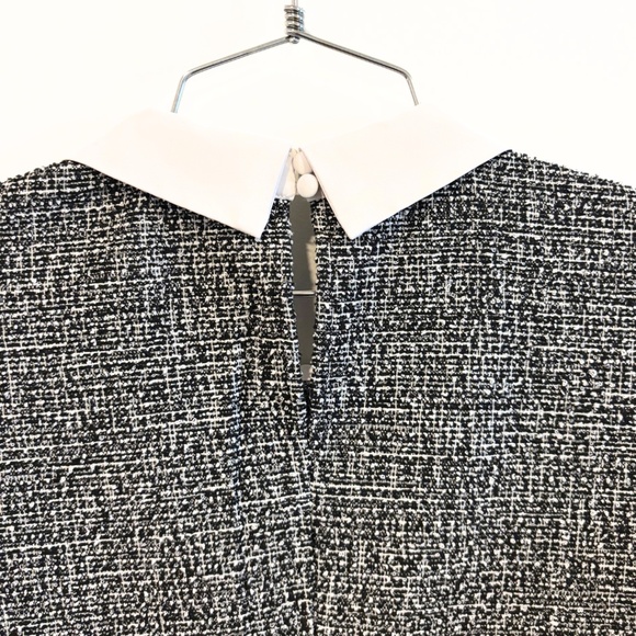 RW&CO. Short-Sleeve Top with Shirt Collar Black and White Size L - Picture 8 of 9